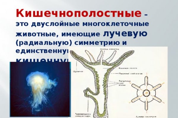 Как зайти на кракен в торе